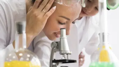 Cientista observando através do microscópio