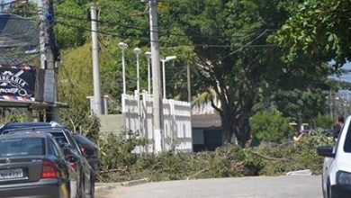 O professor de Matemática Pura irá atuar no campus de Seropédica.