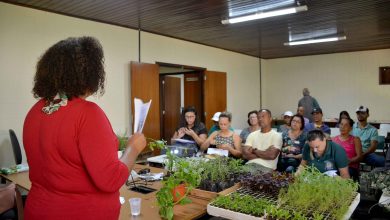 Em Agosto, a Engenheira Agrônoma Celma Domingos realizou uma palestra sobre as Panc's