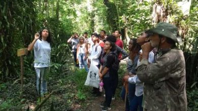 ALUNOS DE Seropédica participaram de atividades educativas na Floresta Mário Xavier