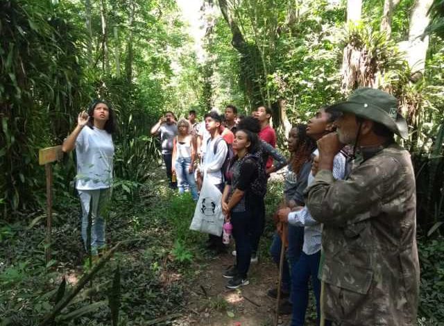 ALUNOS DE Seropédica participaram de atividades educativas na Floresta Mário Xavier