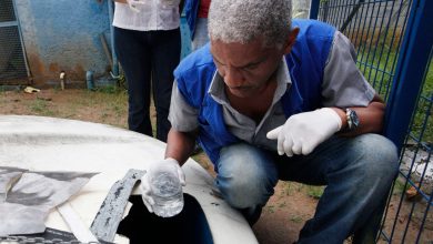 ESTADO DO Rio vai reforçar medidas preventivas contra o mosquito Aedes aegypti