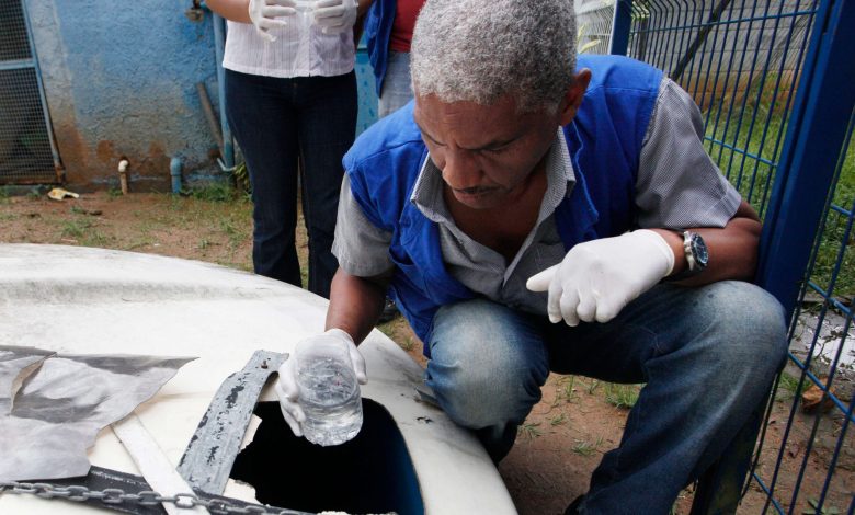 ESTADO DO Rio vai reforçar medidas preventivas contra o mosquito Aedes aegypti