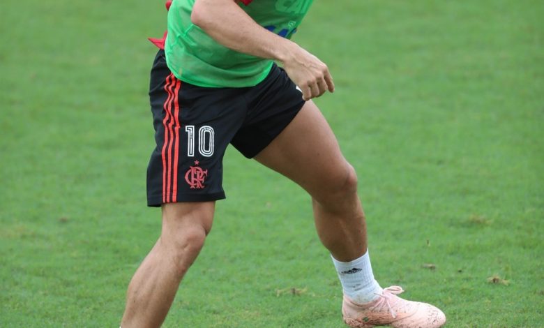 Diego em treinamento do Flamengo na manhã desta terça-feira no Ninho do Urubu