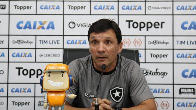 Zé Ricardo não espera vida fácil em solo argentino, mas quer um Botafogo buscando a classificação