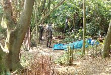 AGENTES DO GPA atuaram em uma construção irregular na Praia Grande