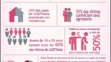 GRÁFICO DIVULGADO pelo ISP mostra os índices de violência contra LGBT no estado