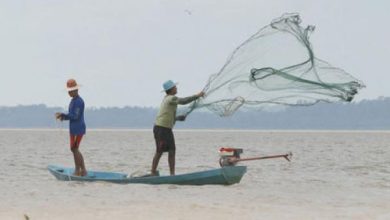 RECADASTRAMENTO PARA pescadores de Itaguaí deve ser feito até o dia 31 de dezembro