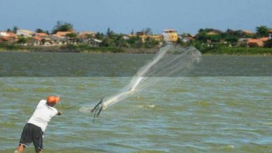 PESCADORES DE todo o país serão beneficiados com a automação do Seguro Defeso no INSS