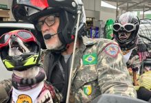 ### Legenda: Cleber Lourenço Lopes, caminhoneiro aposentado de 65 anos, inicia sua aventura de moto rumo à América do Sul com suas companheiras de viagem, as cadelas pinscher Camila e Belinha, ambas equipadas com óculos de proteção. A jornada começa em Volta Redonda e tem como destino final diversos países da América do Sul, com paradas previstas em Pacaraima, Roraima, e Caracas, Venezuela. Cleber pretende documentar a viagem no Instagram @cadelamotociclista, incentivando seguidores a contribuírem via pix para apoiar a aventura.