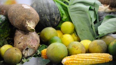 Legumes e verduras