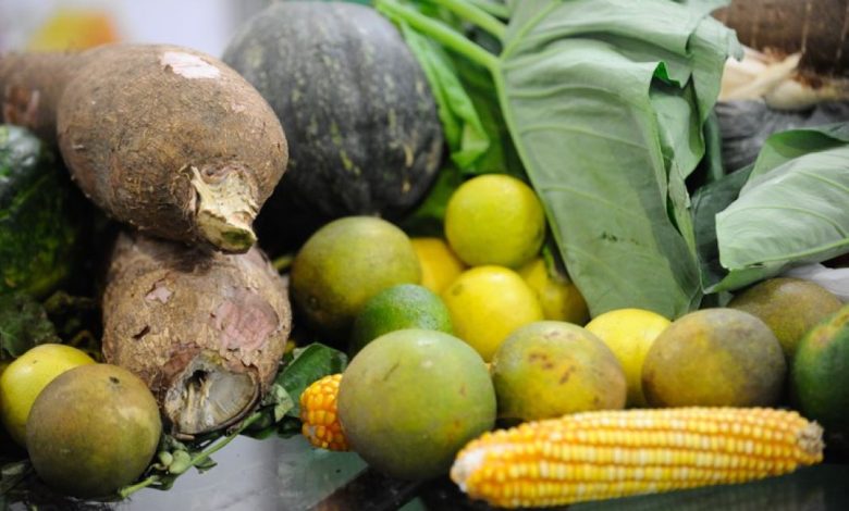 Legumes e verduras