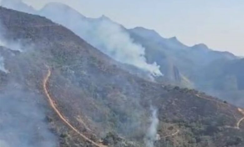 Incêndio atingiram seis Unidades de Conservação em diferentes regiões do estado