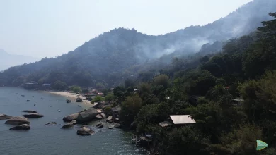 Foto mostra fumaça na floresta perto de casas em Jaguanum