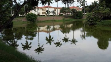 Jardim Botânico da Universidade Federal Rural do Rio de Janeiro