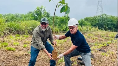 Secretário do Ambiente, Antônio Marcos Barreto, e o diretor da Karpowership, Gilberto Bueni, plantam muda em Itaguaí na área do projeto da empresa