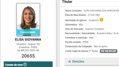 Reprodução da tela de registro de candidatura de Elisa na plataforma do TSE (Reprodução internet)