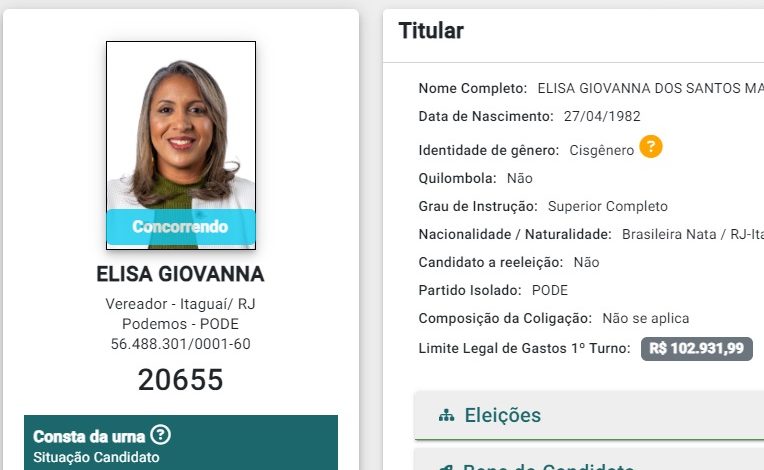 Reprodução da tela de registro de candidatura de Elisa na plataforma do TSE (Reprodução internet)