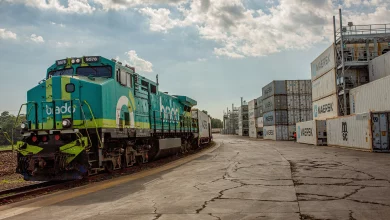 Trem da Brado parado na estação