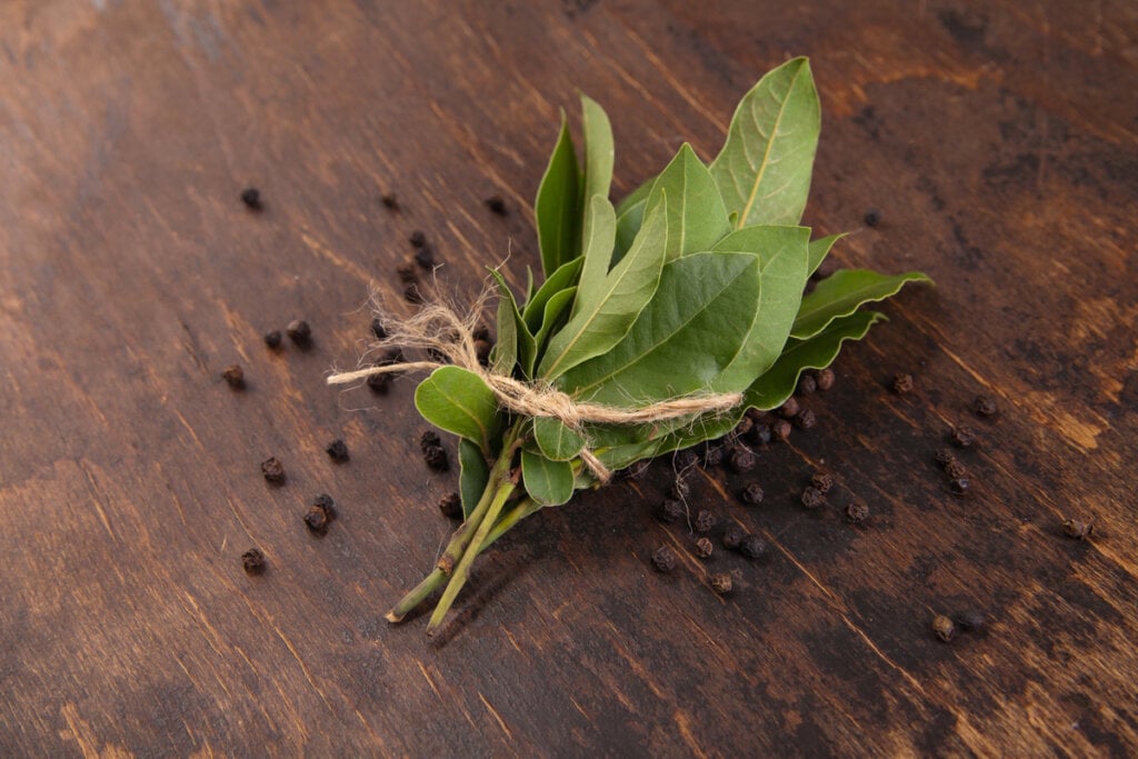 Folhas de louro amarradas em cima de uma mesa de madeira