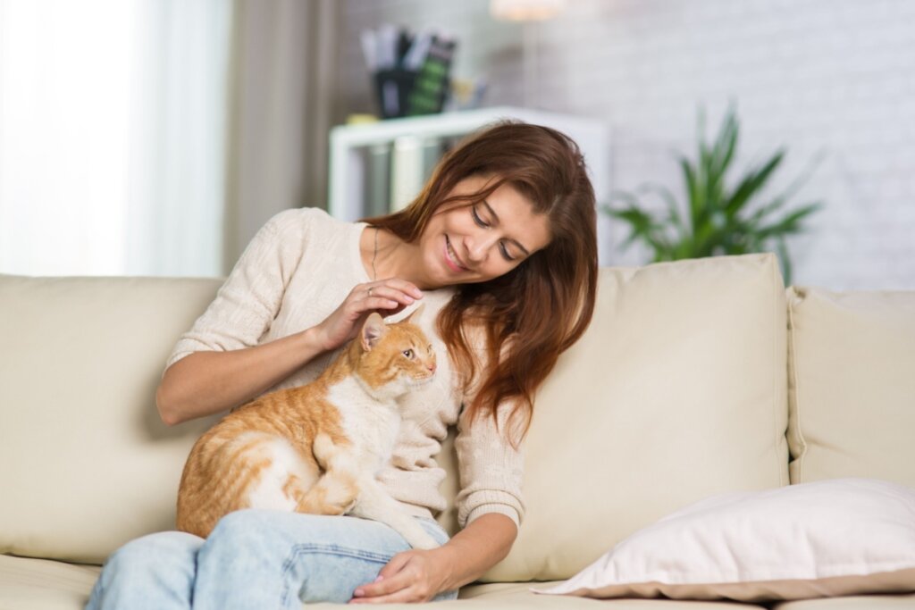 Mulher sentada no sofá com gato laranja e branco no colo e fazendo carinho na cabeça dele