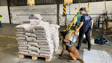 Cães farejadores auxiliaram a identificar a droga em meio aos sacos de argamassa no Porto de Itaguaí (Foto: Divulgação Receita Federal)