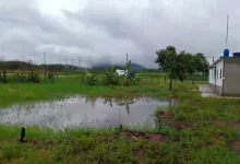 Propriedade alagada na margem da Rio-Santos