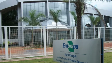 Uma das unidades da Embrepa, que abriu concurso público para mais de mil vagas (Foto: Reprodução internet)