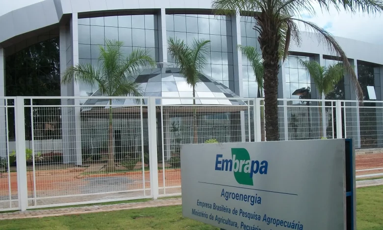 Uma das unidades da Embrepa, que abriu concurso público para mais de mil vagas (Foto: Reprodução internet)