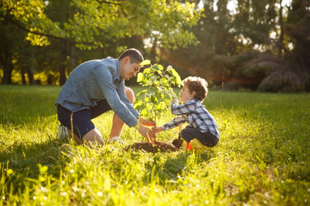 Pai plantando muda com filho 