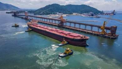 Barcos colaboram na atração de navio no Porto Sudeste