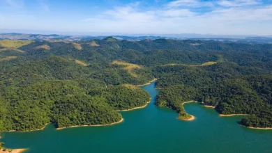 Foto do Bacia Hidrográfica do Guandu