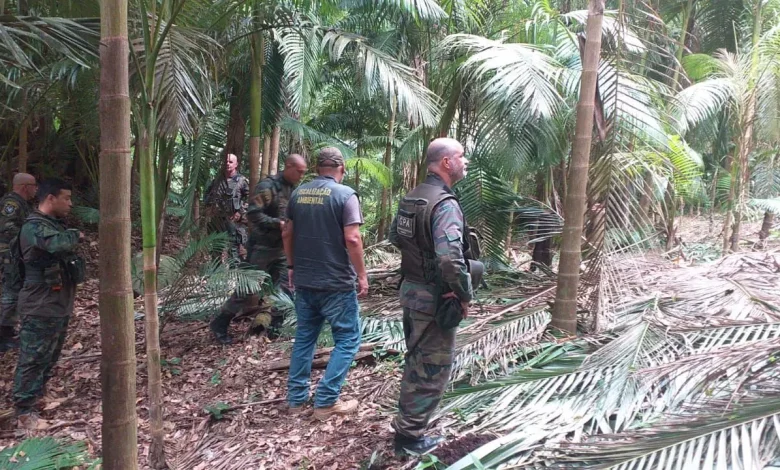 Os agentes estiveram no local e encontraram indícios de um acampamento de caçadores