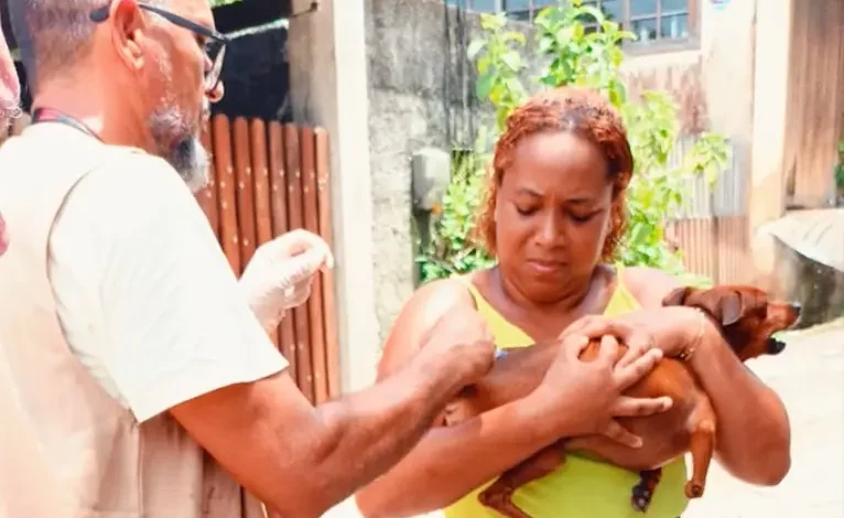 Agente da saúde vacinando cachorro segurado pela sua tutora.