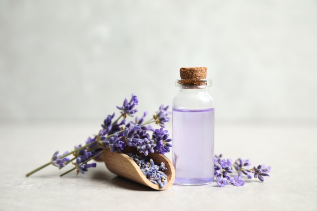 Óleo essencial de lavanda ao lado de ramos de lavanda em fundo branco em cima de mesa branca