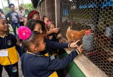 Crianças da rede municipal de Itaguaí participam de visita educativa à Secretaria de Agricultura