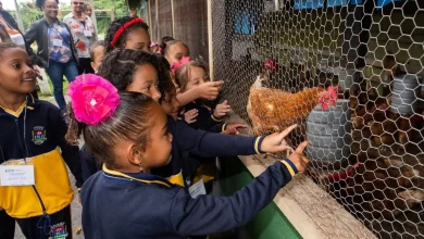 Crianças da rede municipal de Itaguaí participam de visita educativa à Secretaria de Agricultura