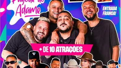 print do cartaz do Festival Verão Atual