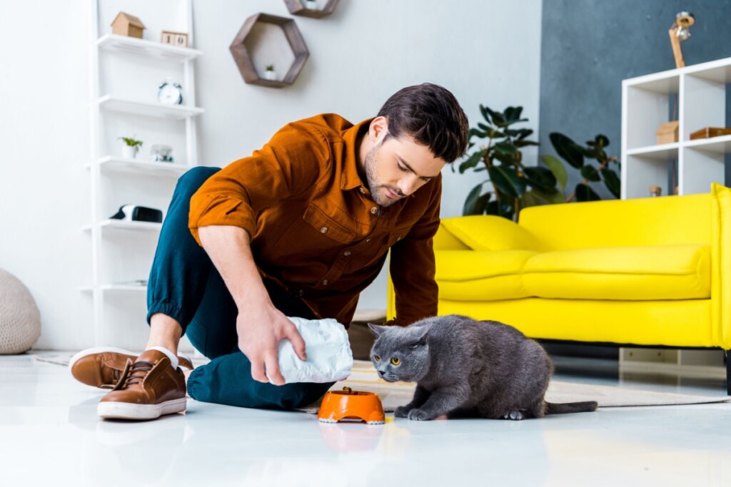 Homem dando comida para gato na sala de casa