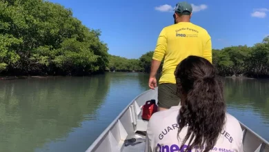 Guarda-parques do Inea realiza fiscalização ambiental em unidade de conservação