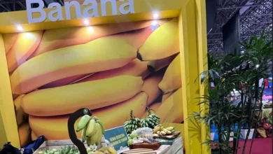 Estande de Itaguaí no Super Rio Expofood 2025