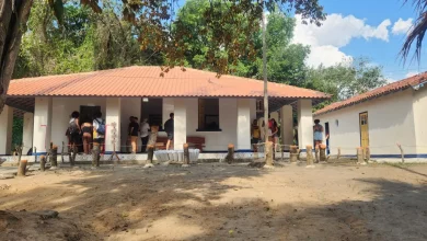 Visitantes exploram o recém-inaugurado Museu de Rochas e Minerais