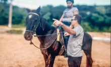 Aluno do programa sendo atendido por um profissional do programa equoterapia