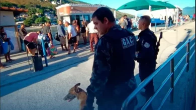 Agentes do Grupamento de Ações com Cães e da PM durante fiscalização nos cais