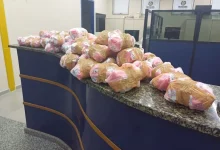 Pacotes com cerca de 2.295 pinos de cocaína em cima do balcão da delegacia de Paraty