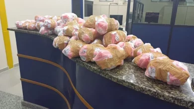 Pacotes com cerca de 2.295 pinos de cocaína em cima do balcão da delegacia de Paraty