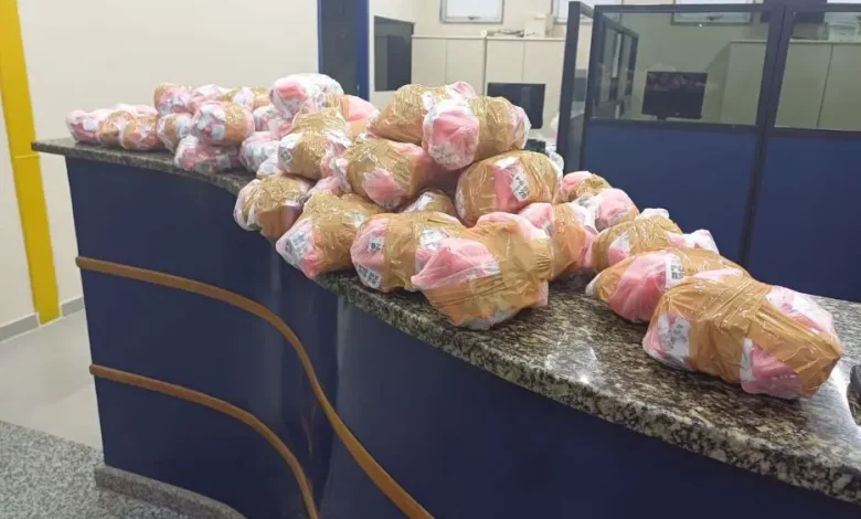 Pacotes com cerca de 2.295 pinos de cocaína em cima do balcão da delegacia de Paraty