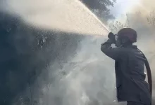 Bombeiro apagando fogo no mato