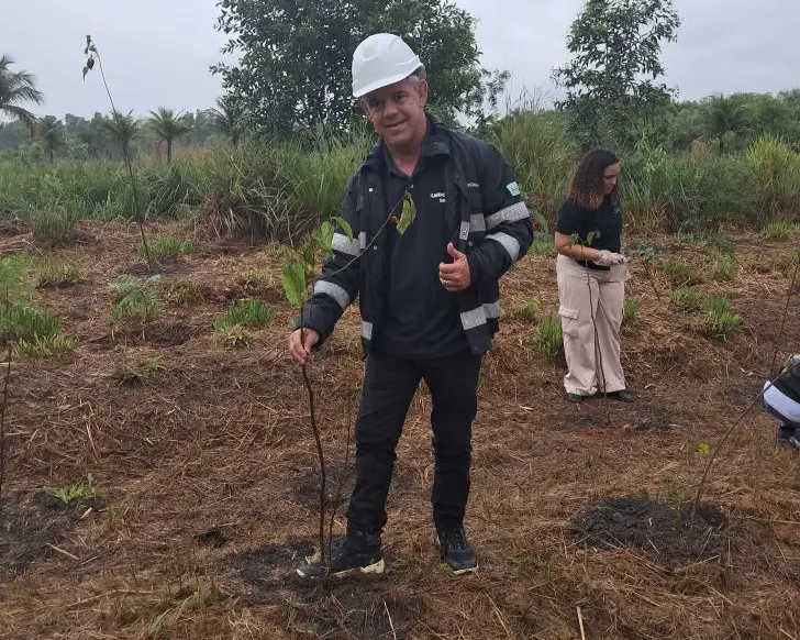 Homem plantando muda