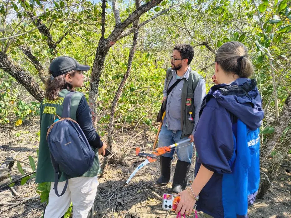 Técnicos da Secretaria de Meio Ambiente e do Parque Estadual do Cunhambebe realizam vistoria em área de transição entre floresta e manguezal